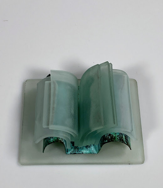 glazen boek Joek van Draanen2 Glazen boek van Joek van Draanen